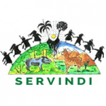 Logo SERVINDI